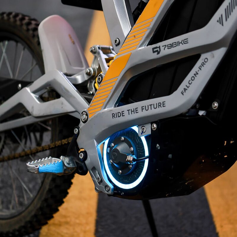 Electric Ride Pro Manufacturer - Best Selling for E Ride Pro SR