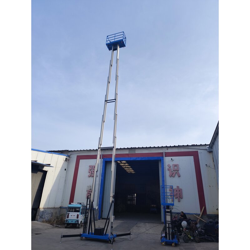 Aluminum Work Platform Elevator Manufacturer - Excellent Quality 8-10M Cable Rigging