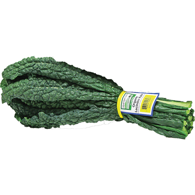 Wired Twist Ties Supplier - OEM 8" Branded Logo Printing