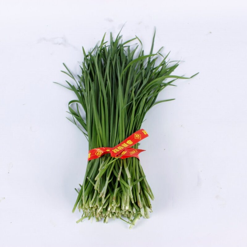 Wire Tying Tool Manufacturer - OEM 5m5mm Plastic Coated Tool