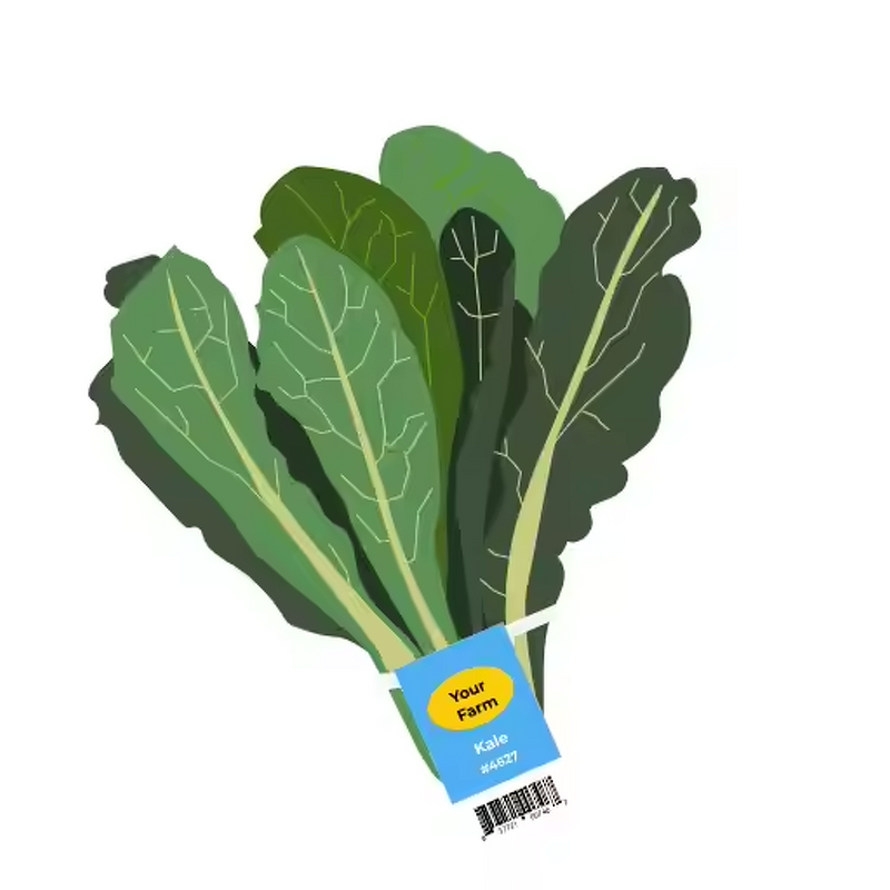 Label Twist Tie Supplier - OEM Custom Printing Vegetable Band