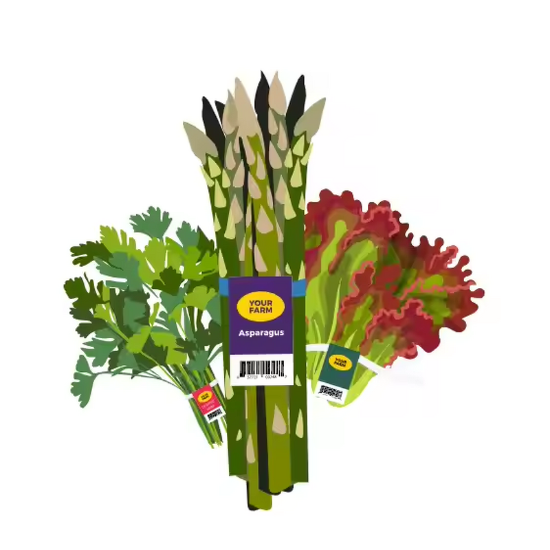 Label Twist Tie Supplier - OEM Custom Printing Vegetable Band