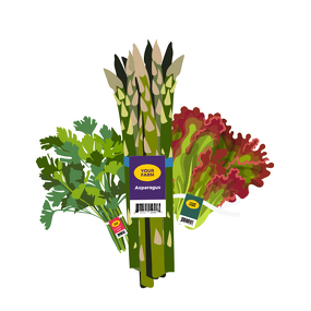 Twist Band Tie Supplier - OEM Custom Printed Vegetable Fruit