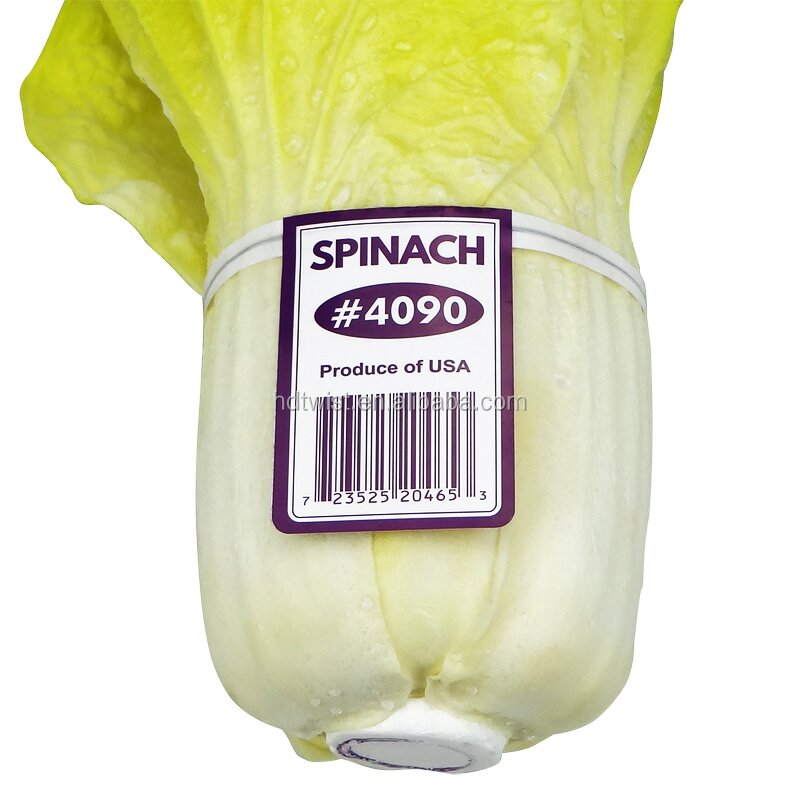 Garden Tying Tape Manufacturer - OEM 1.1cm30m PE Durable Tape