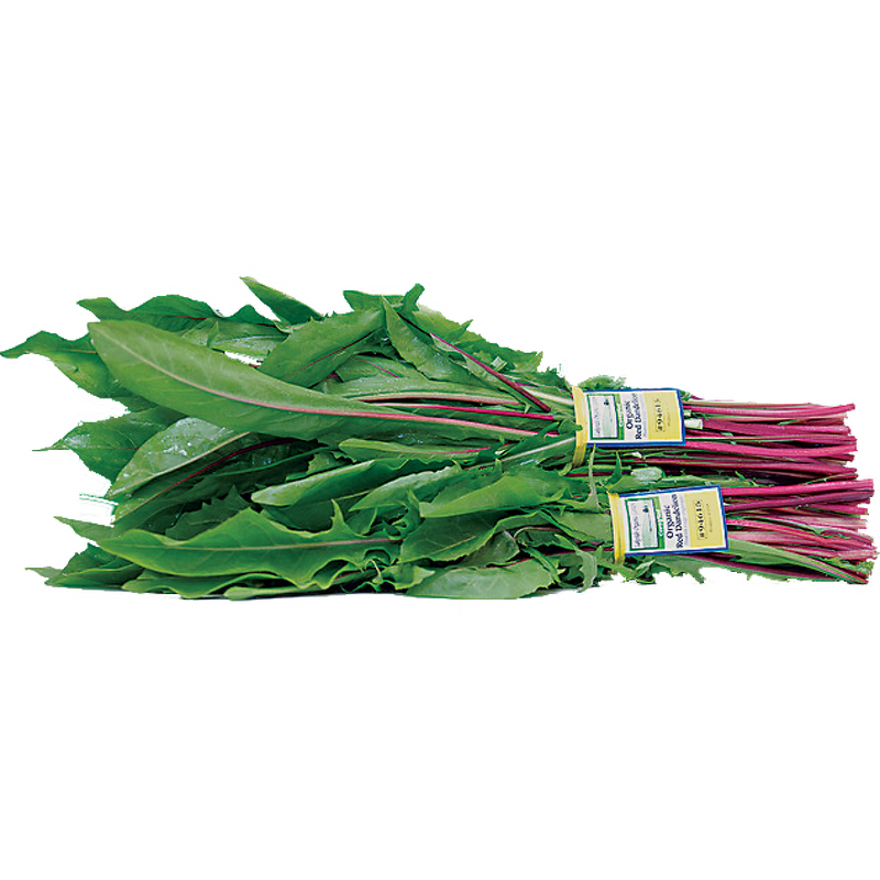 Paper Label Twist Tie Supplier - OEM LOGO Printed Fruit Vegetable