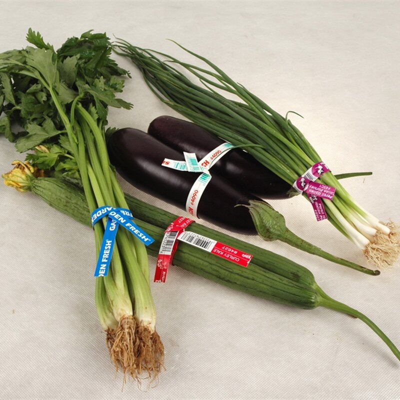 Wire Tying Tool Manufacturer - OEM 5m5mm Plastic Coated Tool