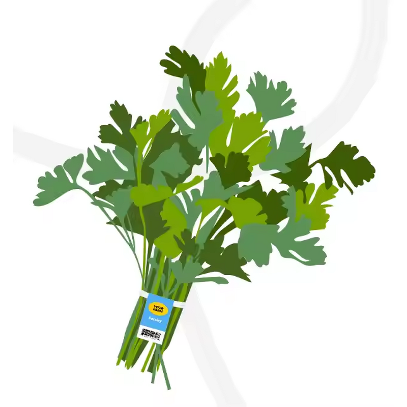 Vegetable Label Twist Manufacturer - OEM Custom Printing Band Tag