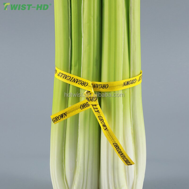 Vegetable Twist Tie Factory - OEM 5/16inch Plastic Paper Tie