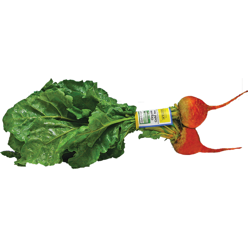 Paper Label Twist Tie Supplier - OEM LOGO Printed Fruit Vegetable