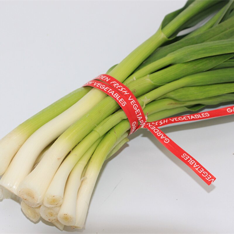 Wire Tying Tool Manufacturer - OEM 5m5mm Plastic Coated Tool