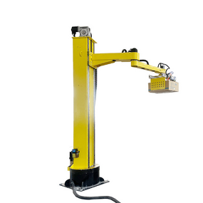 Robot Palletizer Manufacturer - OEM Articulating Arm Carton Box