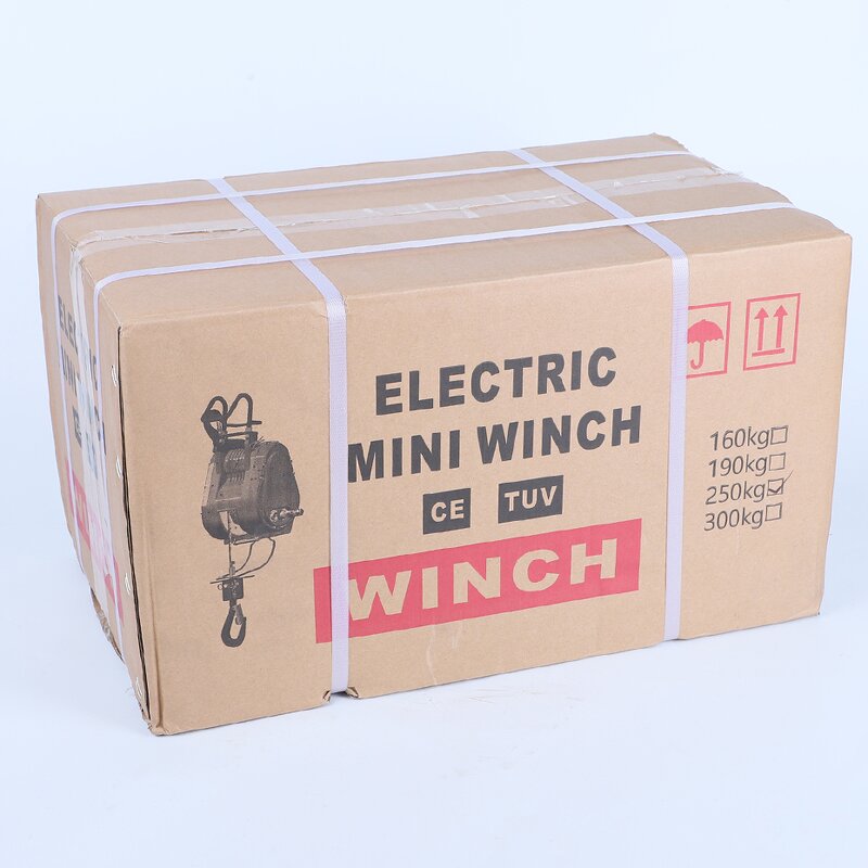 Wire Rope Winch Factory - OEM 100kg 110v 220v Portable Hoist