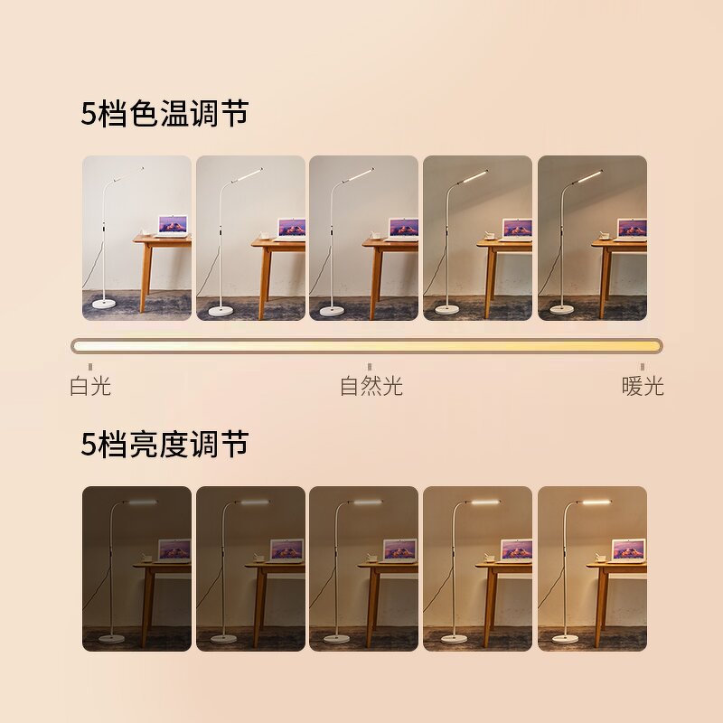 Eye Caring Floor Lamp Supplier - OEM Wholesale 5 Modes 5 Brightness