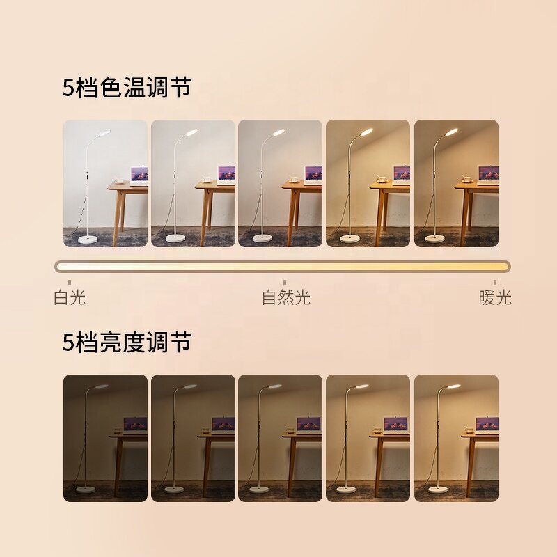 Long Arm LED Floor Lamp Manufacturer - OEM New Metal Touch Sensor 5 Modes