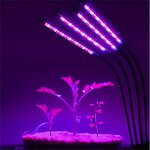 Led plant light