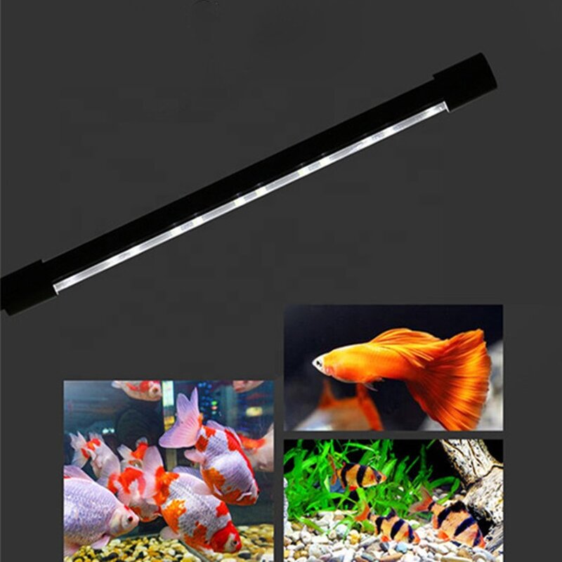 USB Aquarium Light Factory - OEM Factory Supply Mini Fish Tank Light