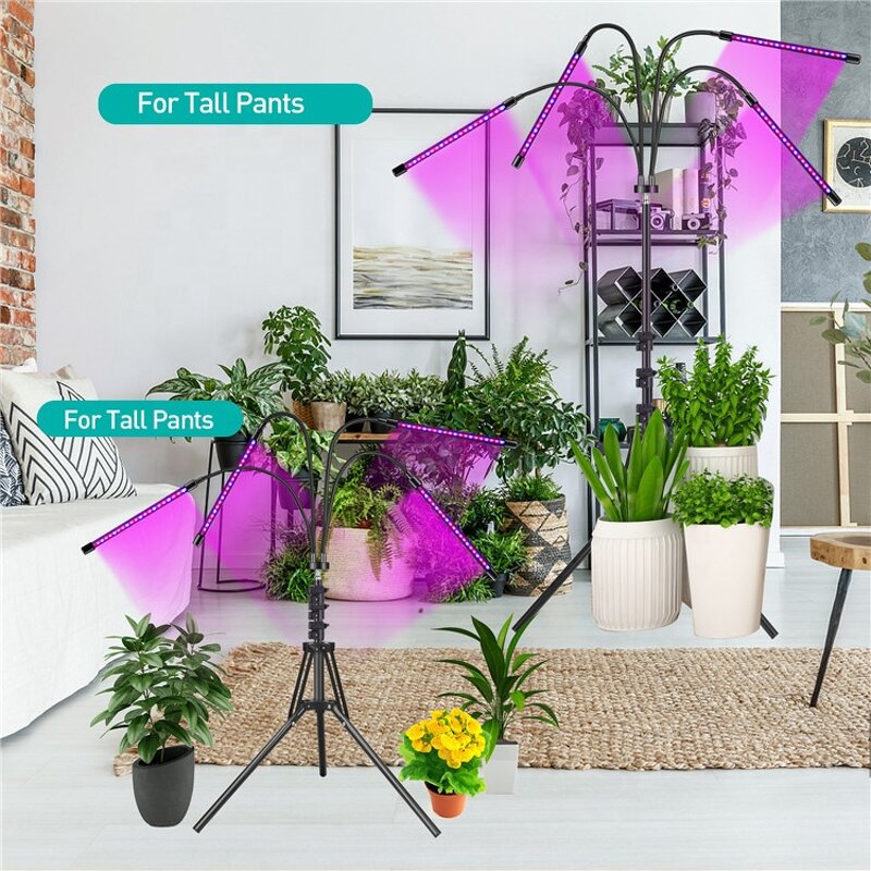 Tripod Plant Growing Light Factory - OEM Creative 10 Level Dimming Timing