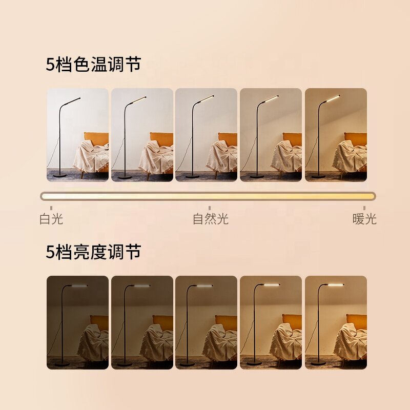 Minimalist Smart Floor Lamp Manufacturer - OEM 12W Remote Control Eye Protection