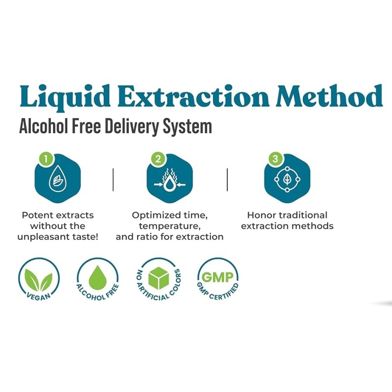 Herbal Tablets Factory - Bulk Men Energy Dragon Phoenix Tonifying Male