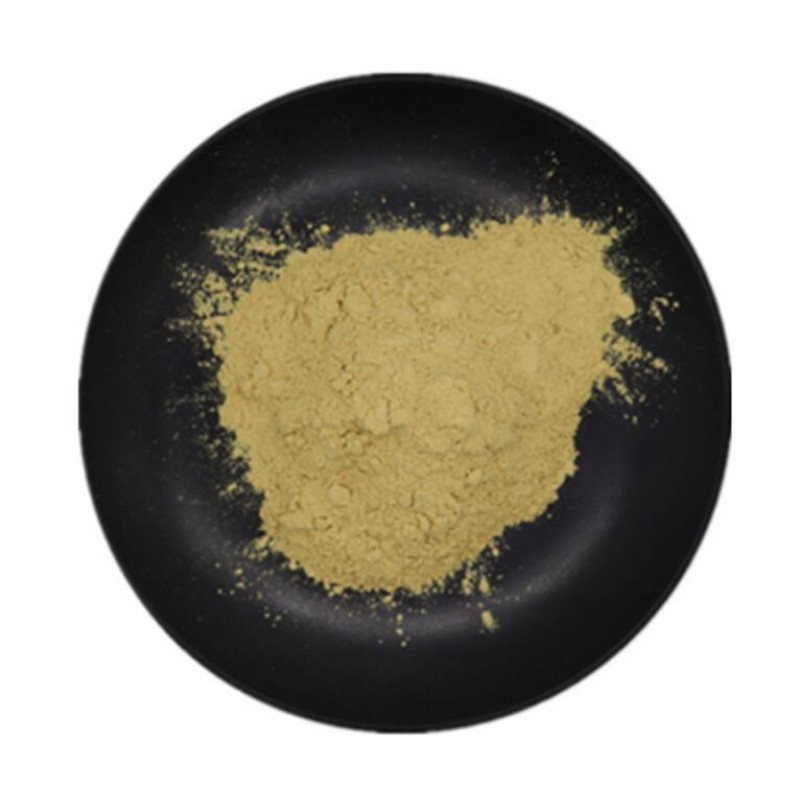 Whey Protein Factory - Bulk High Quality Easy Absorb Digestion Muscle Synthesis