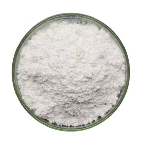 Whey Protein Factory - Bulk High Quality Easy Absorb Digestion Muscle Synthesis