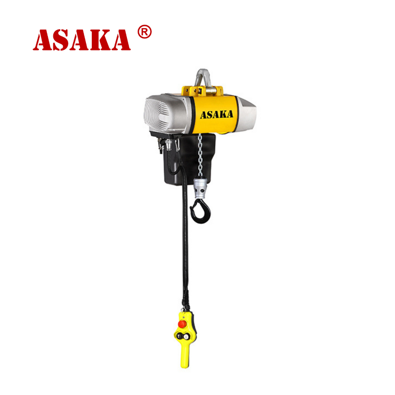 Intelligent Chain Hoist Supplier - 500kg 220v Small Electric Lifter Accept Hand Control