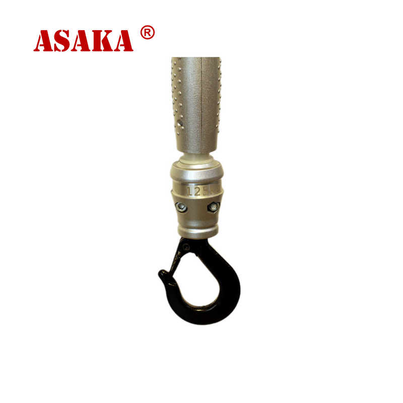 Mini Industrial Electric Hoist Supplier - Top Quality 125kg 220V for Brazil