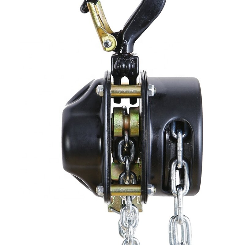 Manual Operated Chain Hoist Supplier - Factory Price ASAKA 1T 10M CE Certificated