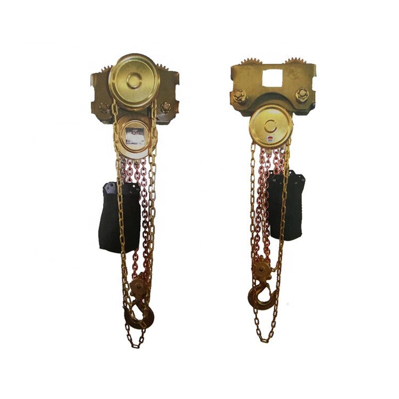 Manual Hand Chain Hoist Factory - Stainless Steel Cheap Price 1T 7M Gear