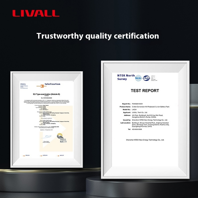 Electric Booster Kit Manufacturer - OEM Livall Pikaboost2 36v Hub