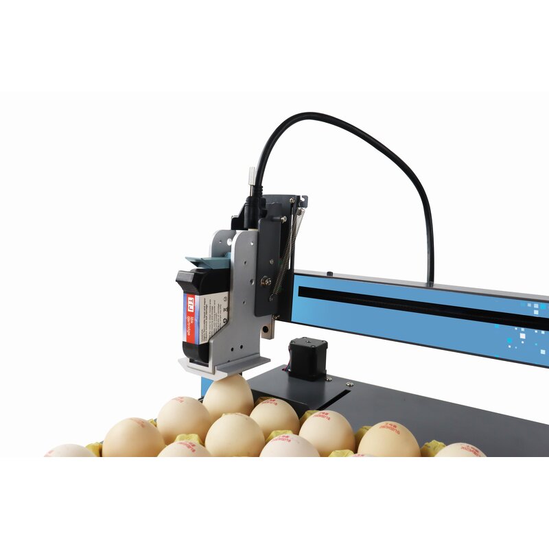 Single Color Egg Ink Jet Printer Factory - Automatic for Coding Print Date Stamping
