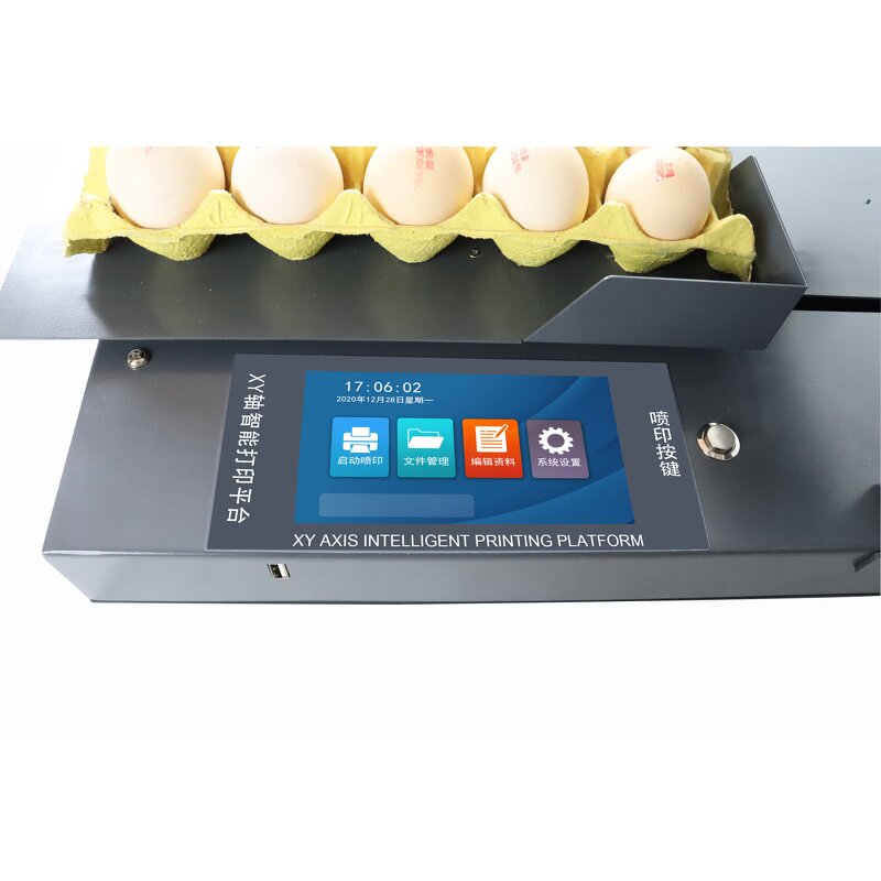 Single Color Egg Ink Jet Printer Factory - Automatic for Coding Print Date Stamping
