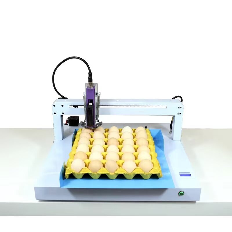Six Head Egg Inkjet Printer Supplier - Continuous Production Date Logo Marking Stamping
