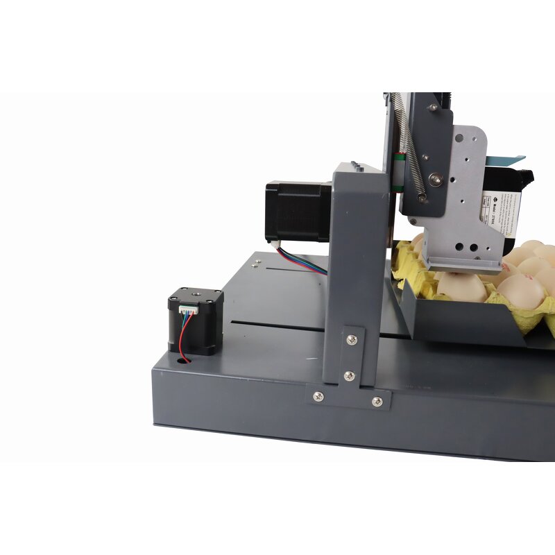 Single Color Egg Ink Jet Printer Factory - Automatic for Coding Print Date Stamping