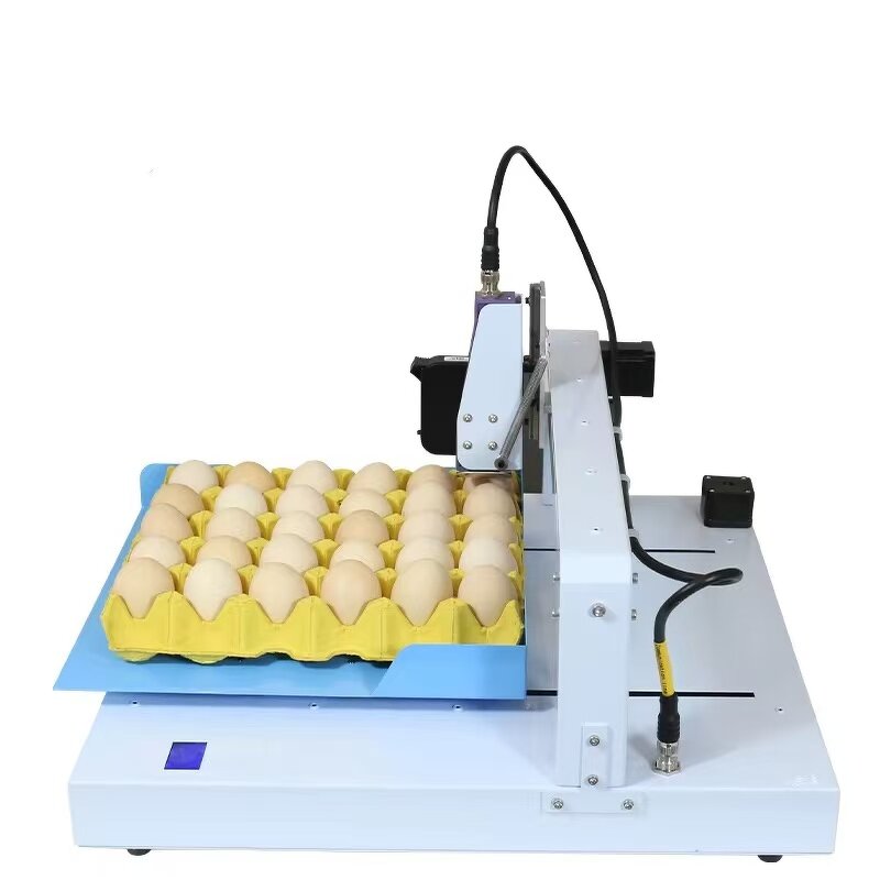 Print Date Coding Machine Factory - Automatic Stamping Expiry Code Head Egg Ink Jet