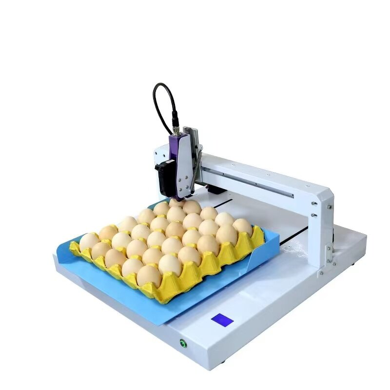 Tij Printer Egg Inkjet Machine Manufacturer - High Quality Automatic Continuous Coding Expiration