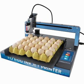 Single Color Egg Ink Jet Printer Factory - Automatic for Coding Print Date Stamping