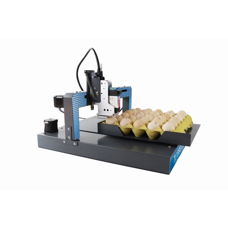 Single Color Egg Ink Jet Printer Factory - Automatic for Coding Print Date Stamping