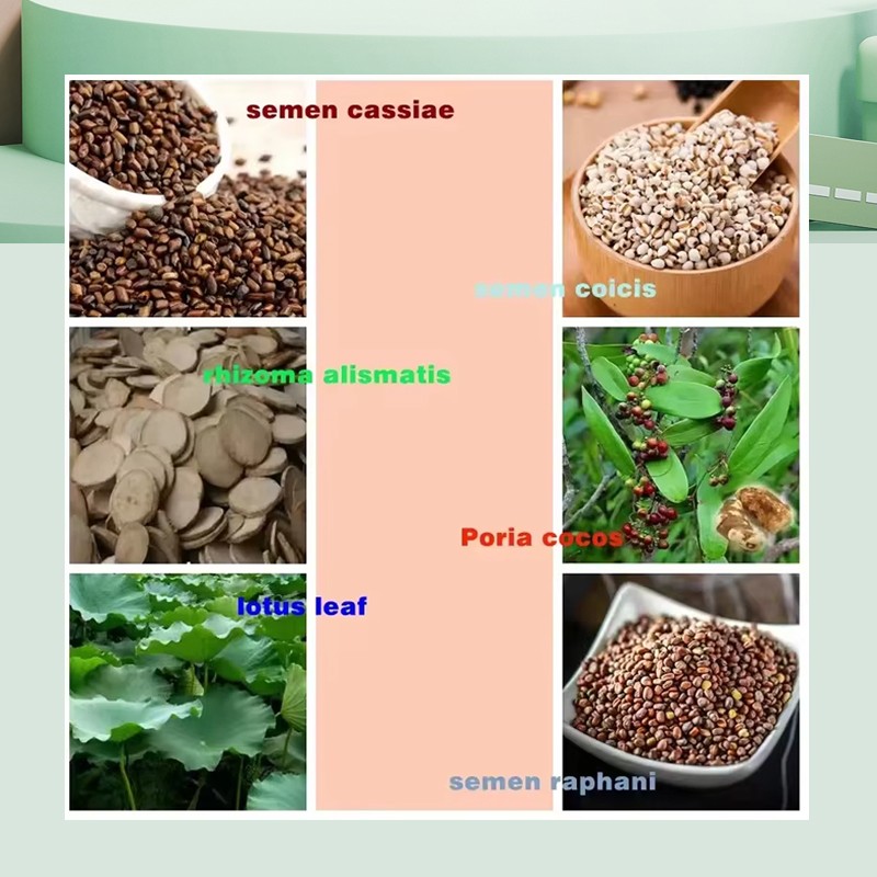 Slimming Capsules Factory - OEM Herbal Carbohydrate Blocker