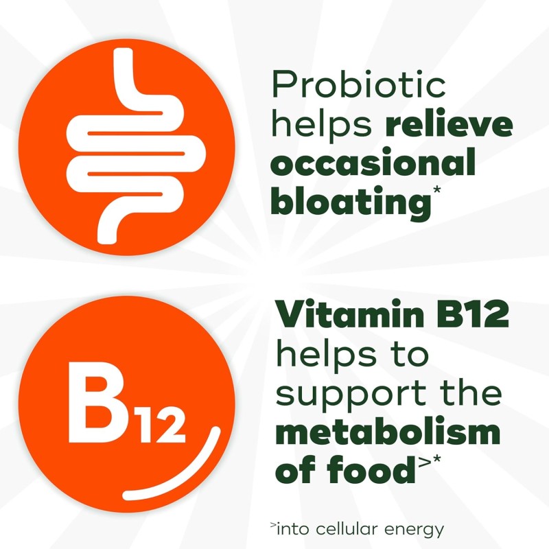 Probiotic Gummies Factory - OEM Gut Health Supplement