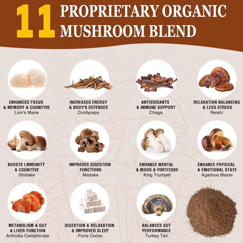 Mushroom Coffee Manufacturer - OEM 7 in 1 Organic Blend