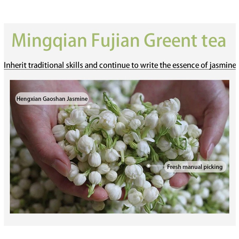 Jasmine Tea Manufacturer - OEM Bubble Tea Commercial Grade