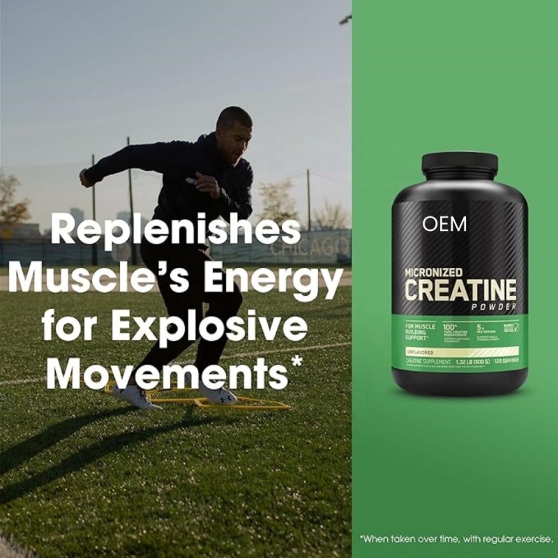 Creatine Powder Factory - OEM Wholesale Muscle Building
