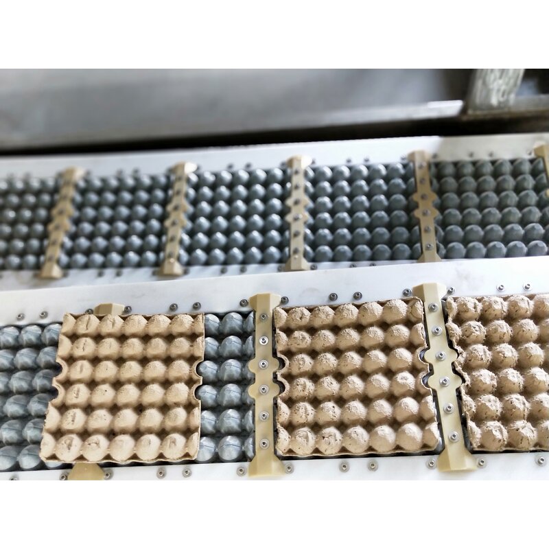 Paper Pulp Accessories Manufacturer - OEM Shijiazhuang Zengtuo Egg
