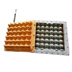 Egg Tray Production Line