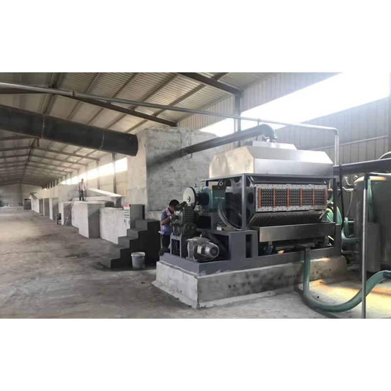 Egg Dish Machine Supplier - OEM Factory 1000-10000 Pcs/h High