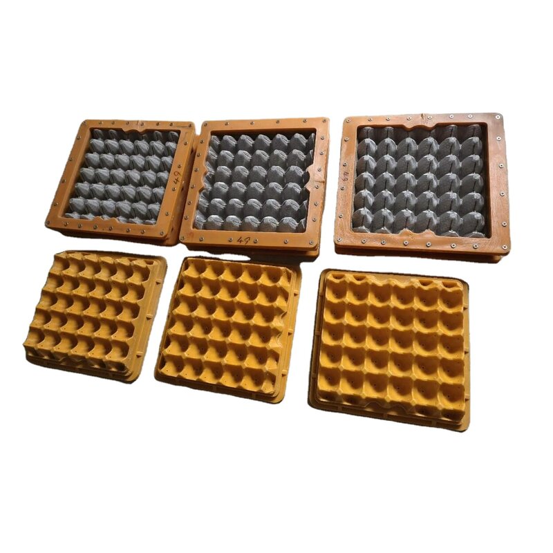 Plastic Egg Tray Mould Supplier - OEM Customized Aluminum Factory
