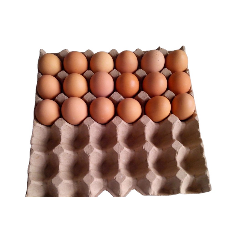 Common 30 Cells Paper Egg Tray Manufacturer - OEM Carton for Chicken