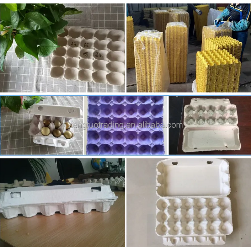 Common 30 Cells Paper Egg Tray Manufacturer - OEM Carton for Chicken