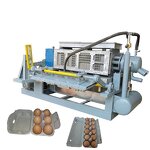 Egg Carton/Box Making Machine